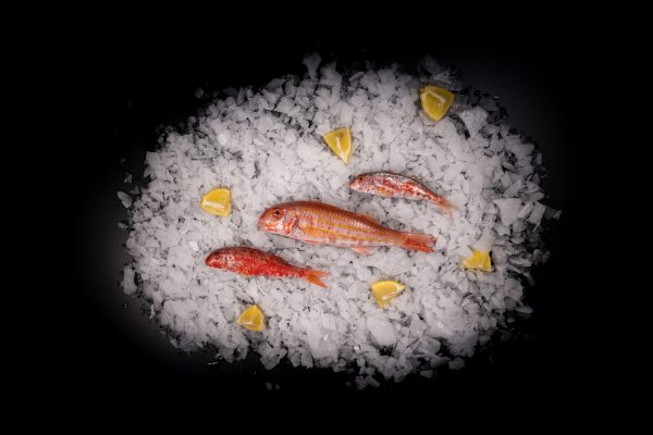 Salmonete